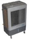 Portable cooler