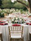 Premium Polyester Napkin 20"x20" - Apple Red